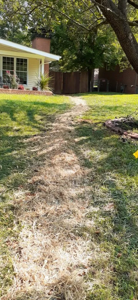 Local yard cleanup service for year-round maintenance in Matthews, NC by Ramirez Residential Work