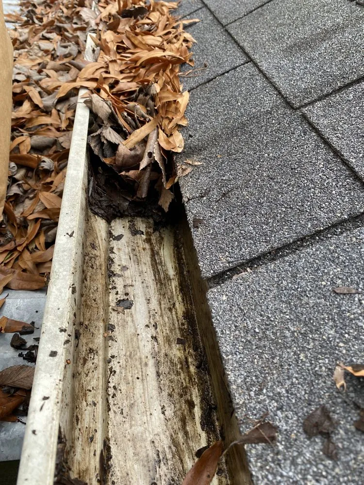 Affordable lawn mowing service for year-round maintenance across Matthews, NC - Ramirez Residential Work