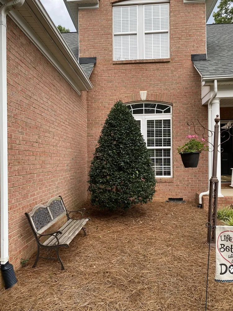 Professional lawn mowing service in Matthews, NC - Ramirez Residential Work