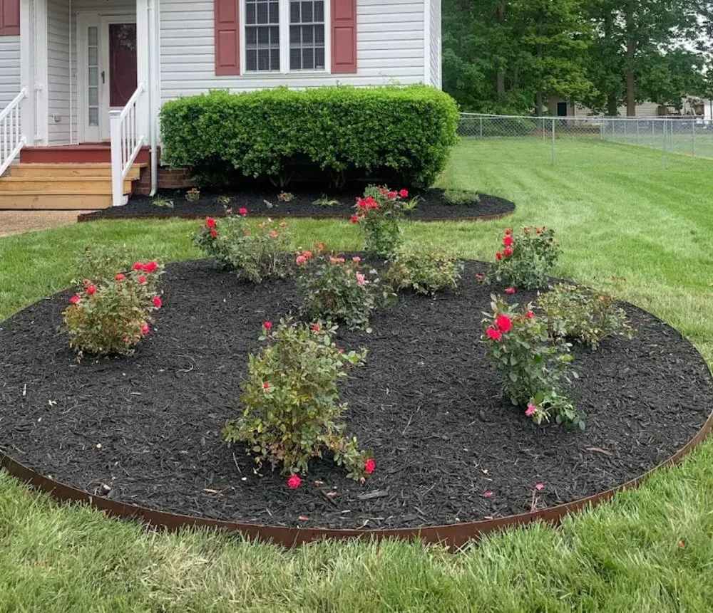 Local residential landscaping for year-round maintenance across Roanoke Rapids, NC - Ramirez