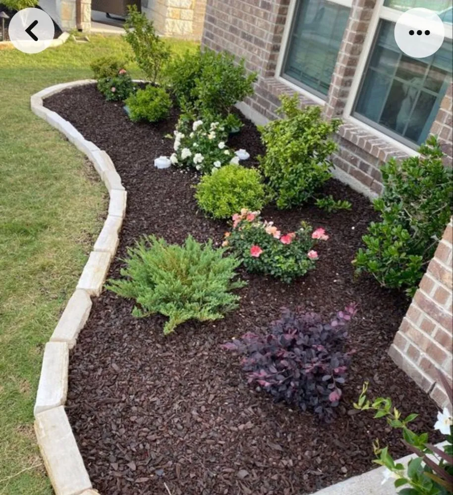 Affordable yard cleanup service for outdoor upgrades across Roanoke Rapids, NC - Ramirez