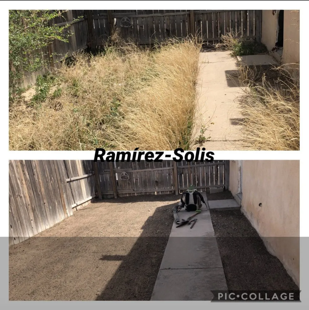 Reliable landscape installation in Albuquerque, NM by Ramirez-Solis Landscaping