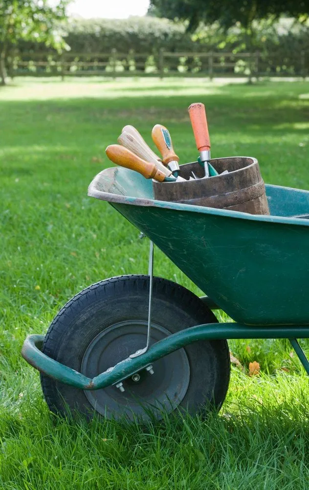 Affordable lawn mowing service experts serving Albuquerque, NM - Ramirez-Solis Landscaping