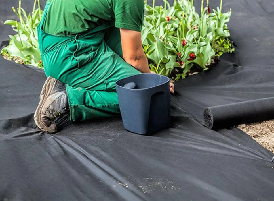 Top-rated yard maintenance for year-round maintenance across Ontario, CA - Ramirez Tree Service