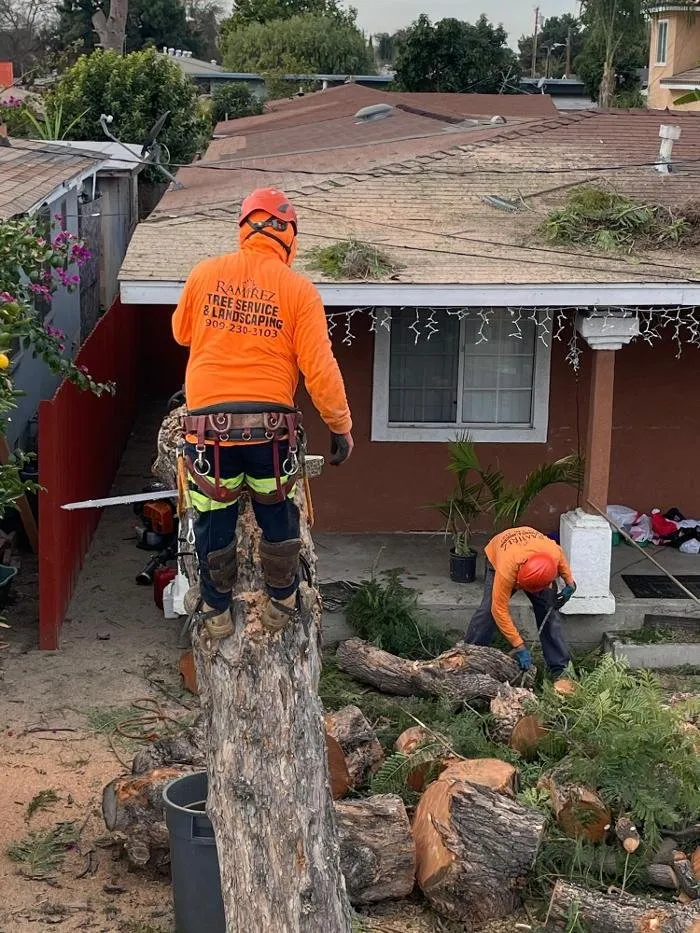 Custom outdoor landscaping with custom design across Ontario, CA - Ramirez Tree Service