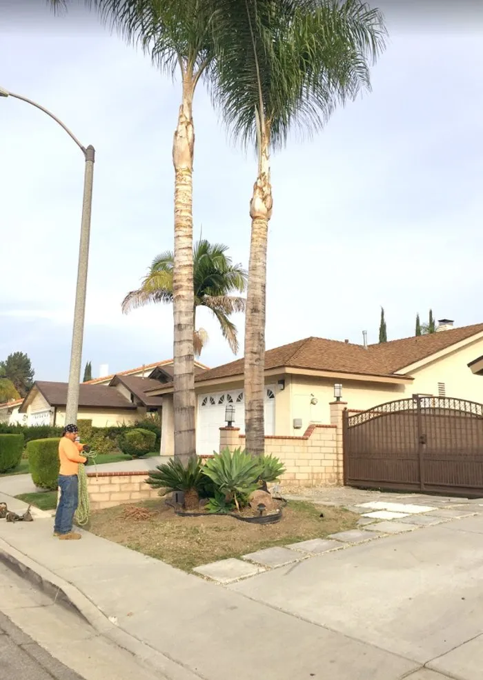 Affordable landscaping services experts serving Ontario, CA - Ramirez Tree Service