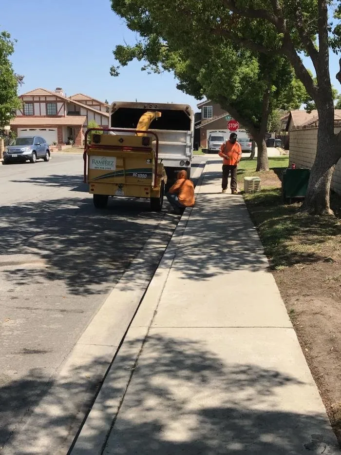 Top-rated lawn care service in Ontario, CA by Ramirez Tree Service