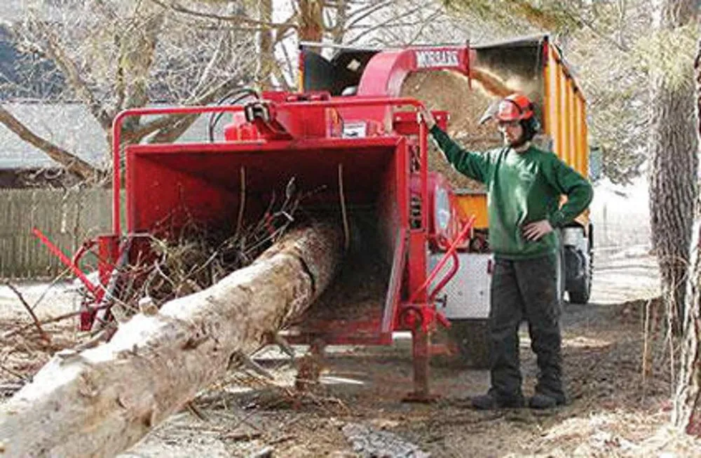Trusted landscaping services in Ontario, CA - Ramirez Tree Service