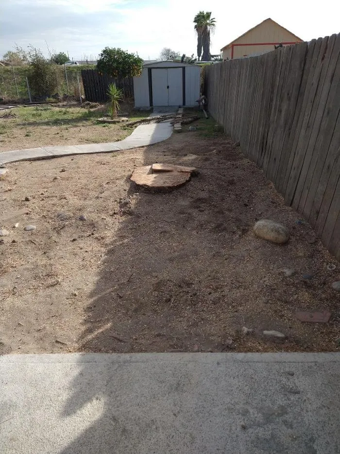 Custom lawn care service in Ontario, CA - Ramirez Tree Service