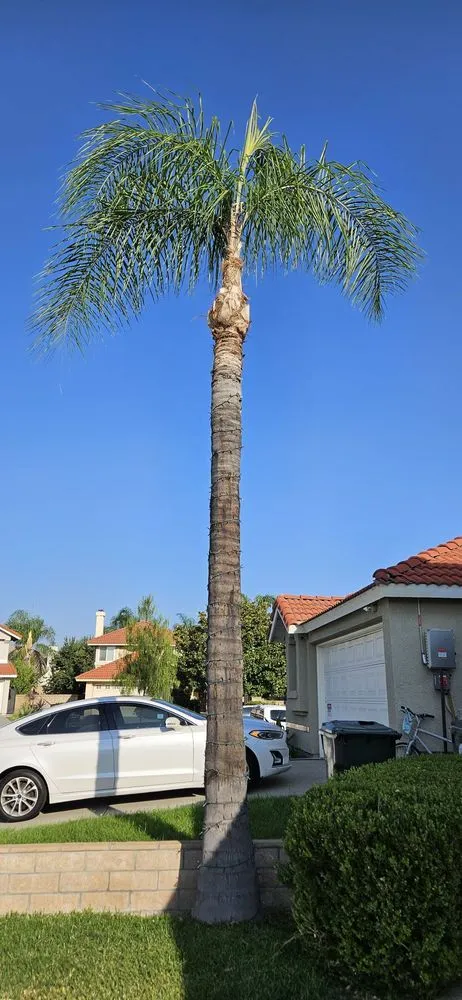 Custom landscape design for homes in Ontario, CA by Ramirez Tree Service