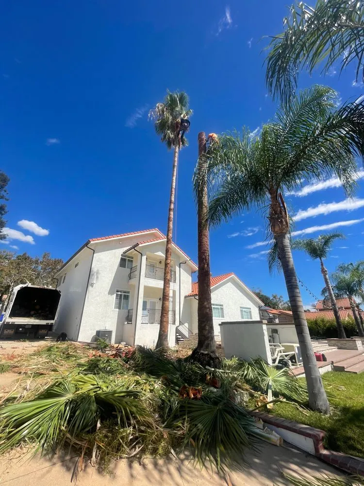 Affordable landscape installation in Ontario, CA - Ramirez Tree Service