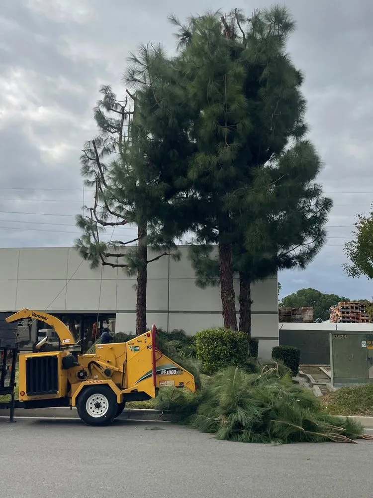 Trusted garden landscaping in Ontario, CA - Ramirez Tree Service
