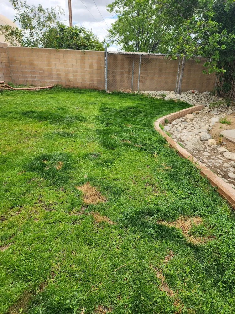 Top-rated lawn care service experts serving Ontario, CA - Ramirez Tree Service