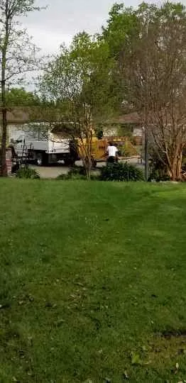 Top-rated yard maintenance in Orangevale, CA by Ramirez Tree Service