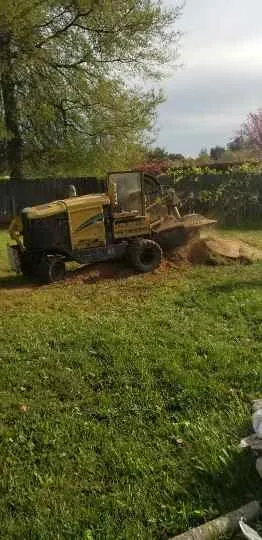 Affordable outdoor landscaping in Orangevale, CA - Ramirez Tree Service