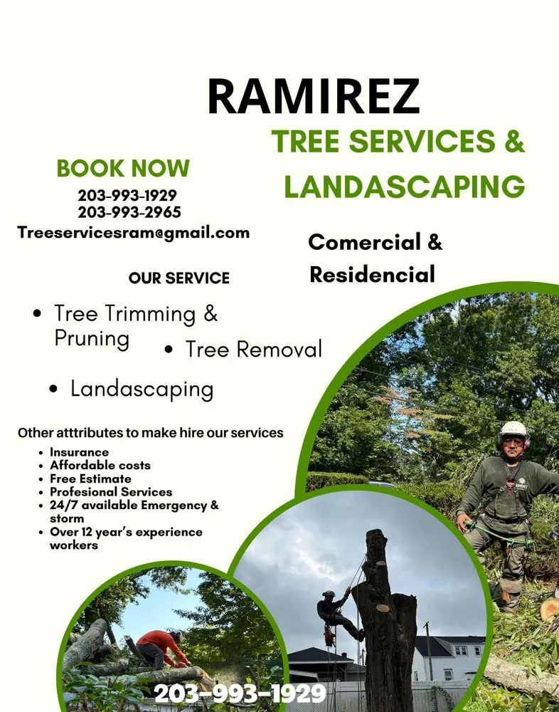 Affordable landscape design in Bridgeport, CT - Ramirez Tree Services