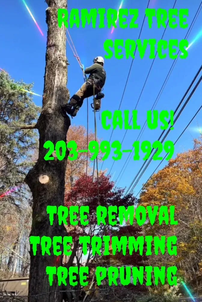 Top-rated garden landscaping experts serving Bridgeport, CT - Ramirez Tree Services