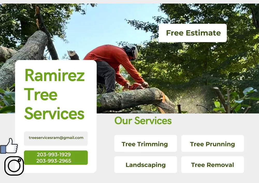 Trusted yard maintenance experts serving Bridgeport, CT - Ramirez Tree Services