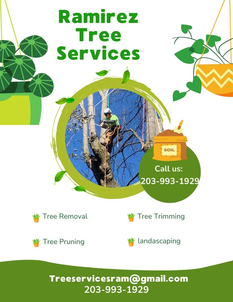 Top-rated garden landscaping with custom design in Bridgeport, CT by Ramirez Tree Services