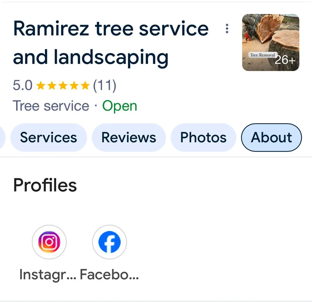 Trusted yard maintenance near you in Bridgeport, CT by Ramirez Tree Services