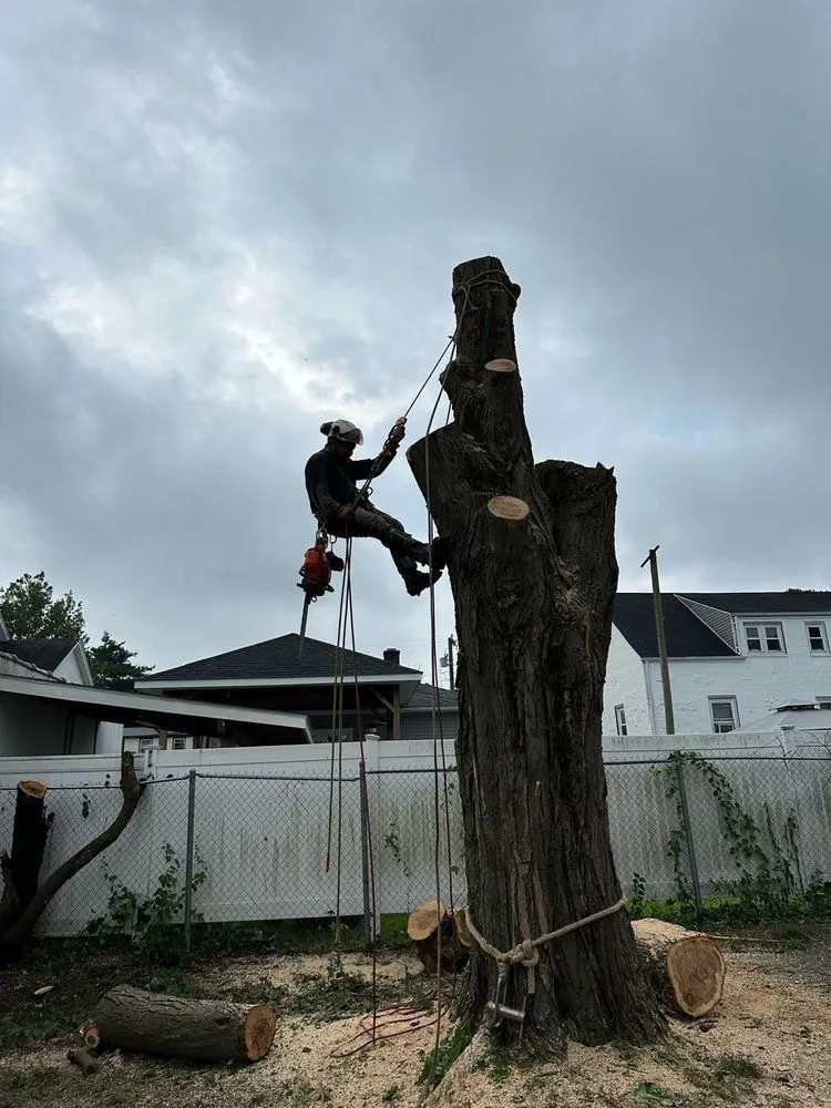 Local lawn care service near you in Bridgeport, CT by Ramirez Tree Services