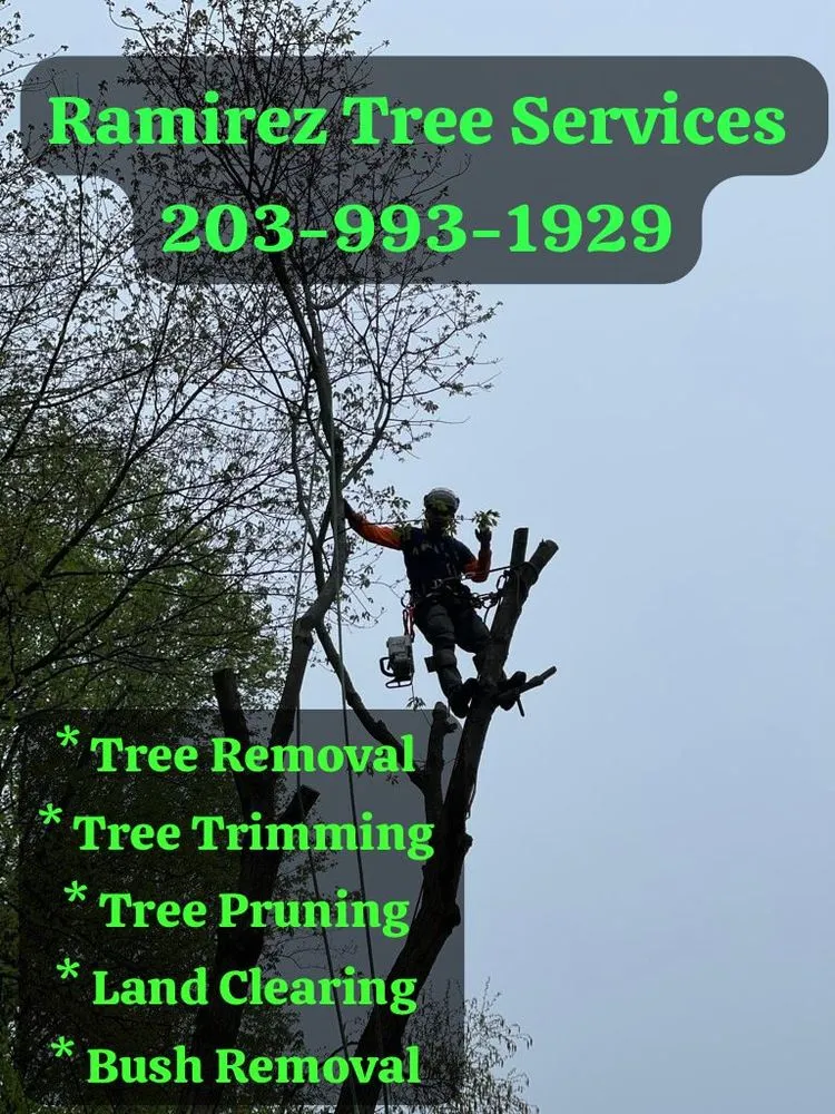 Top-rated landscape installation experts serving Bridgeport, CT - Ramirez Tree Services