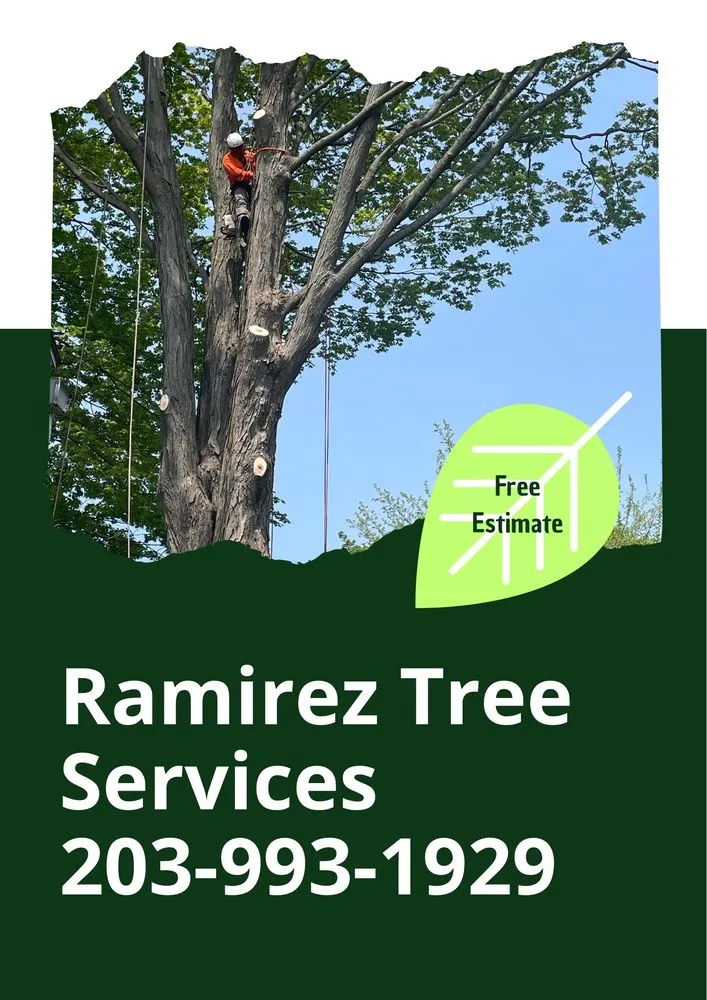 Local landscape design with custom design in Bridgeport, CT by Ramirez Tree Services