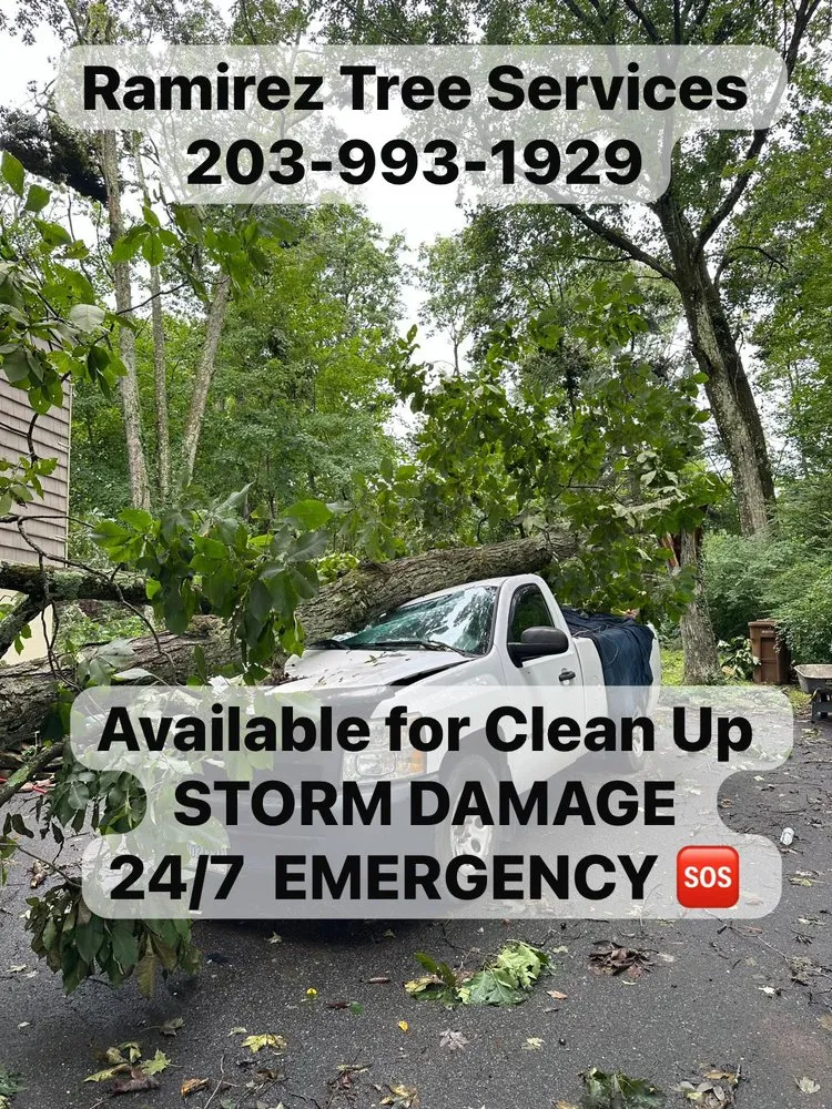 Professional lawn mowing service experts serving Bridgeport, CT - Ramirez Tree Services