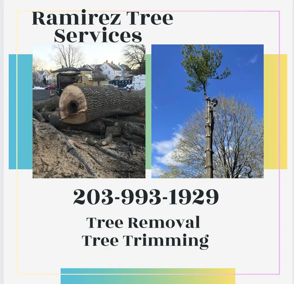 Trusted outdoor landscaping experts serving Bridgeport, CT - Ramirez Tree Services
