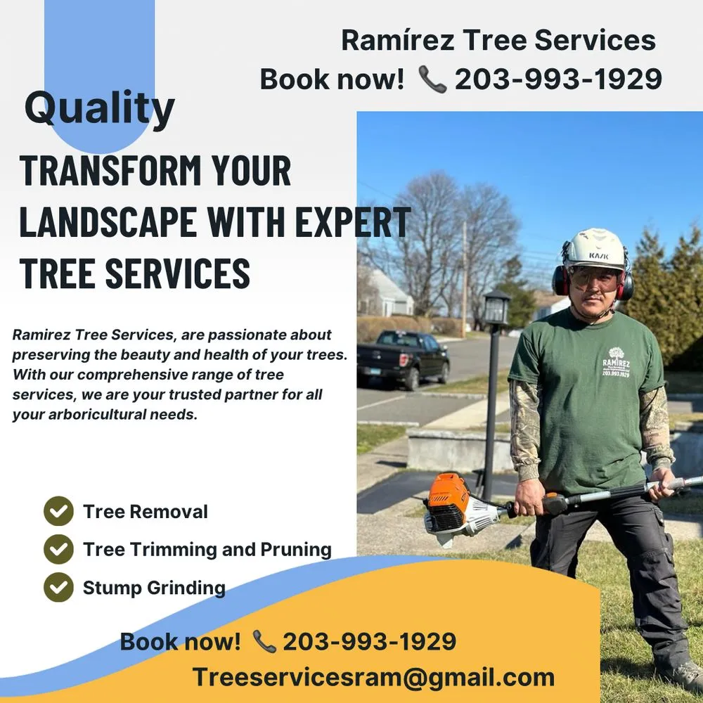 Top-rated lawn mowing service in Bridgeport, CT - Ramirez Tree Services