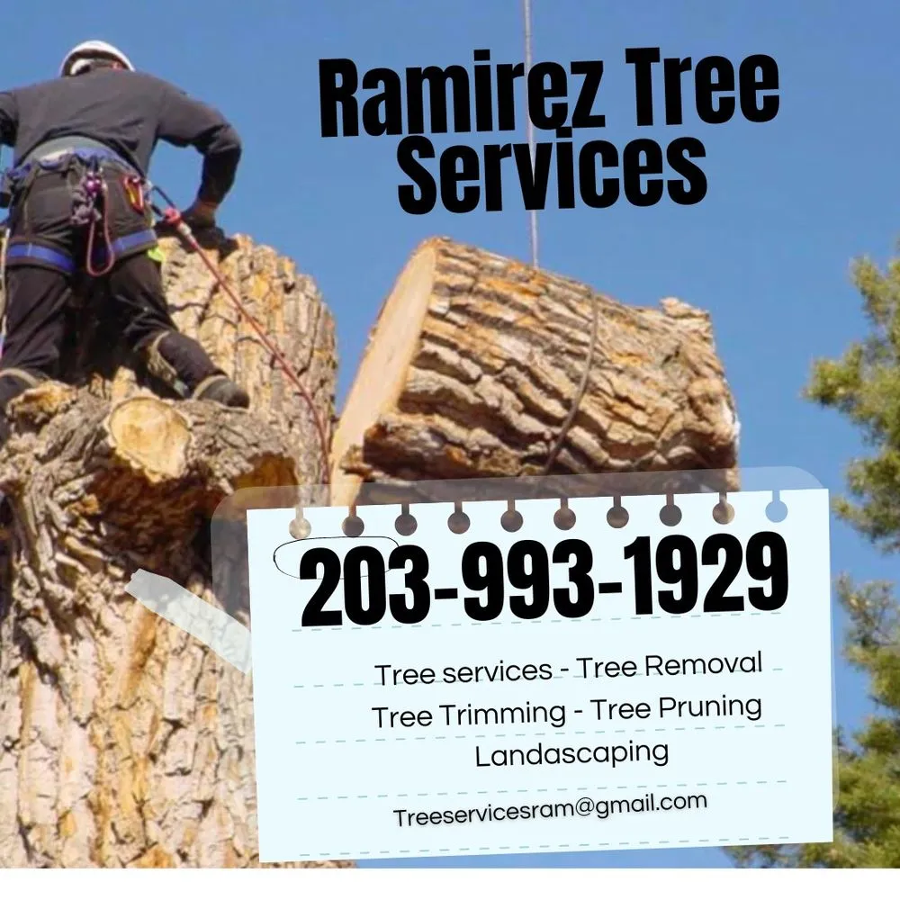 Trusted landscape design experts serving Bridgeport, CT - Ramirez Tree Services
