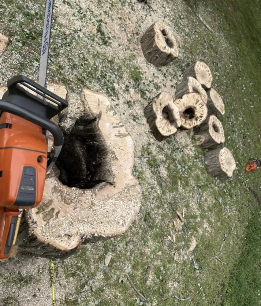 Top-rated lawn care service near you in Bridgeport, CT by Ramirez Tree Services