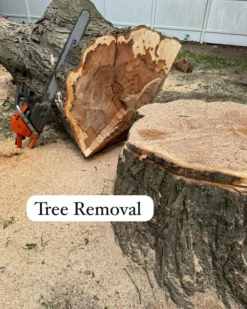 Trusted outdoor landscaping in Bridgeport, CT by Ramirez Tree Services