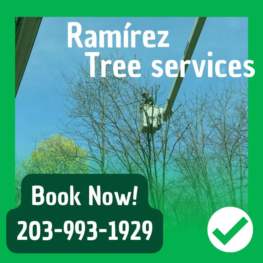 Professional landscaping services experts serving Bridgeport, CT - Ramirez Tree Services