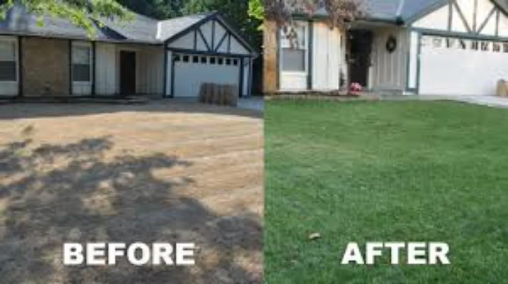 Trusted garden landscaping for beautiful yards across Bakersfield, CA - Ramirez Turf Management