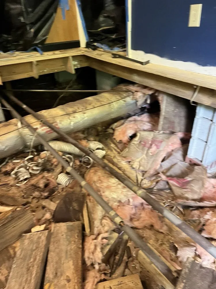 Professional yard cleanup service in New Bern, NC - Ramirez wood replacement