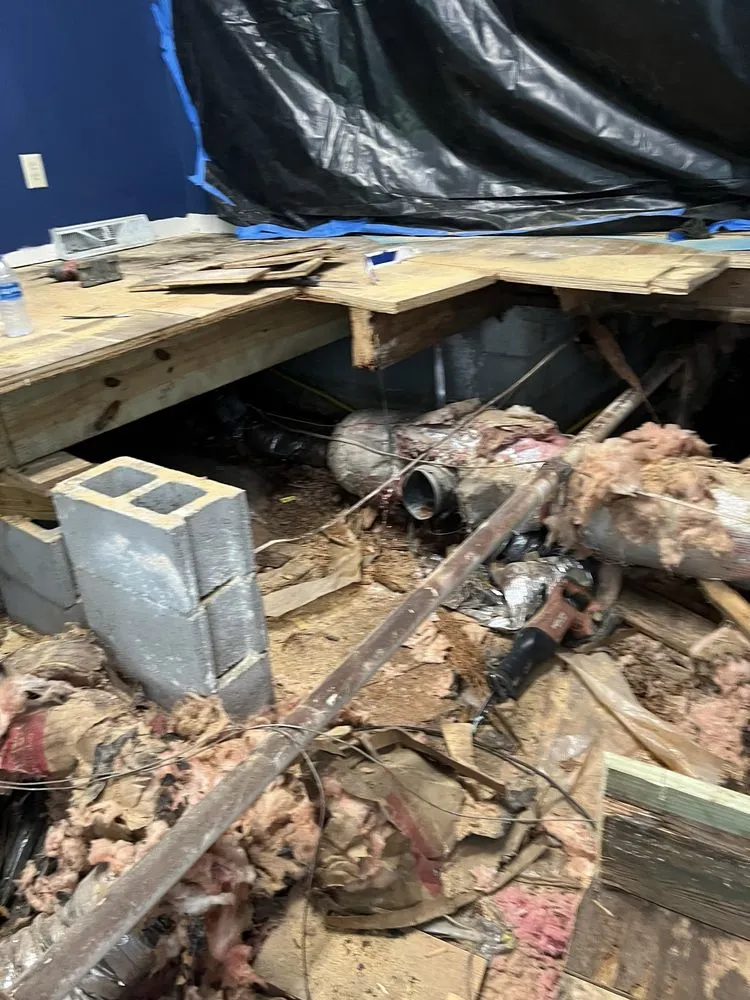 Reliable lawn care service for year-round maintenance across New Bern, NC - Ramirez wood replacement