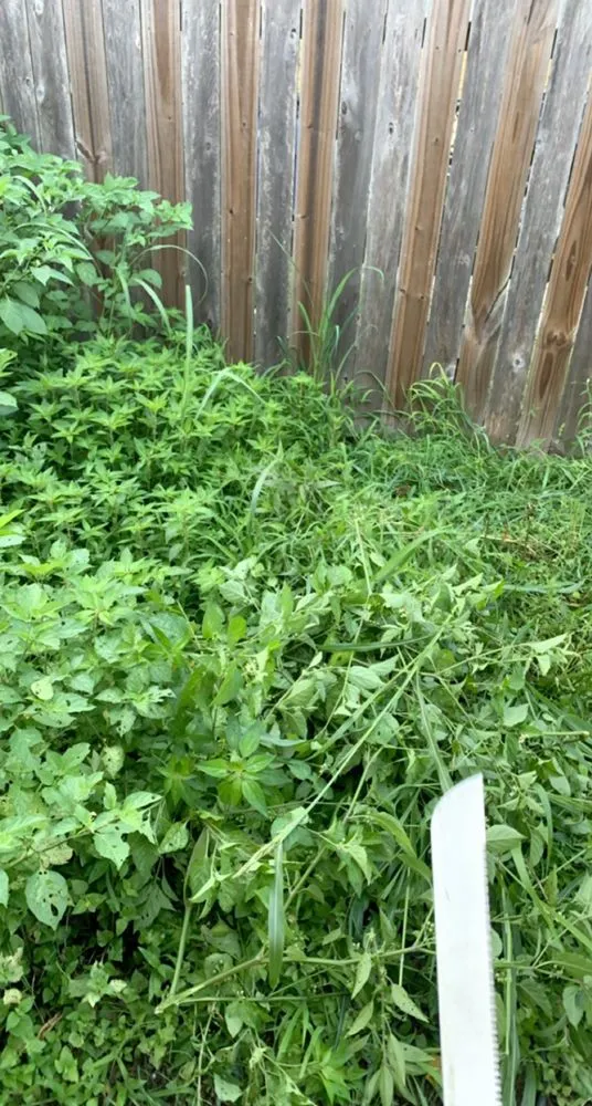 Reliable landscape design experts serving Humble, TX - Ramirez’s Lawn care and Landscape