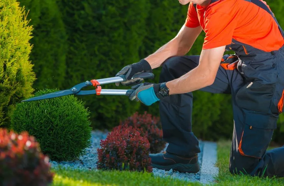 Expert lawn care service in El Paso, TX - Ramiro Landscaping Services