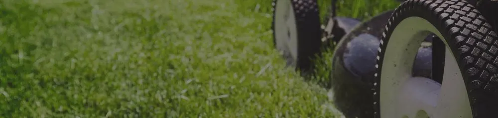 Professional outdoor landscaping in El Paso, TX by Ramiro Landscaping Services