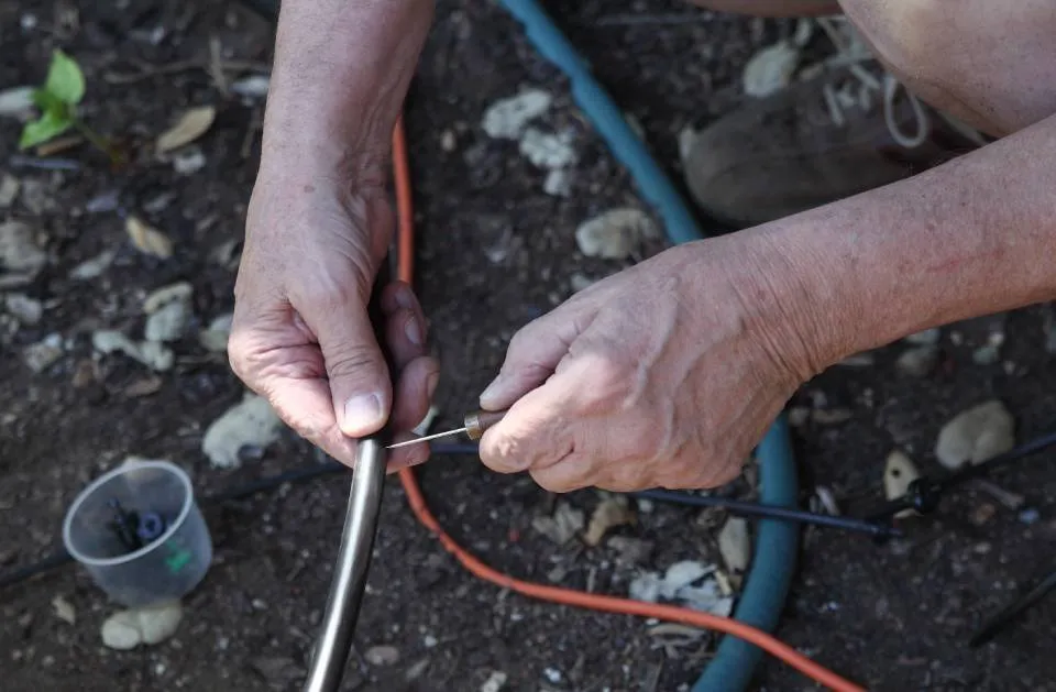 Top-rated landscape installation in El Paso, TX - Ramiro Landscaping Services