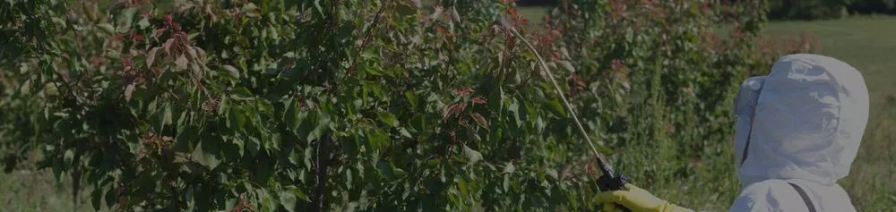 Professional landscape design experts serving El Paso, TX - Ramiro Landscaping Services