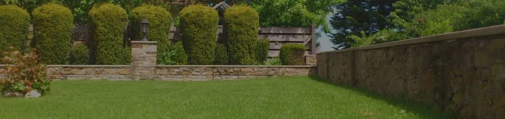 Affordable lawn care service for outdoor upgrades across El Paso, TX - Ramiro Landscaping Services