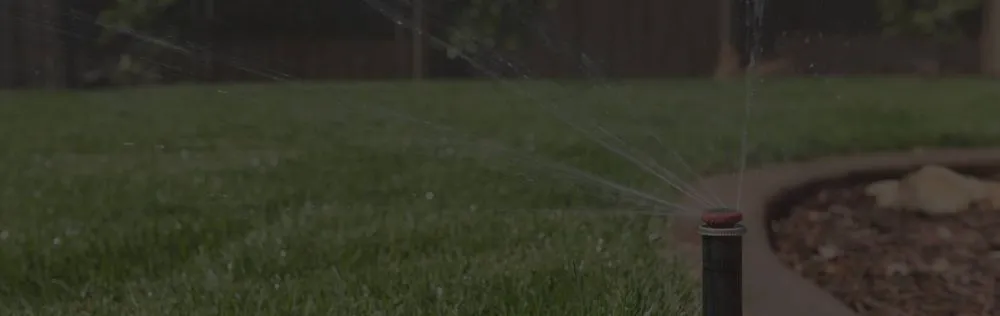 Custom landscaping services experts serving El Paso, TX - Ramiro Landscaping Services