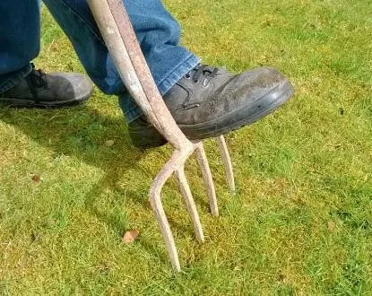 Affordable yard maintenance in El Paso, TX by Ramiro Landscaping Services