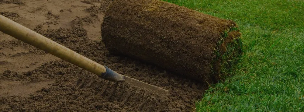 Reliable lawn care service for homes in El Paso, TX by Ramiro Landscaping Services