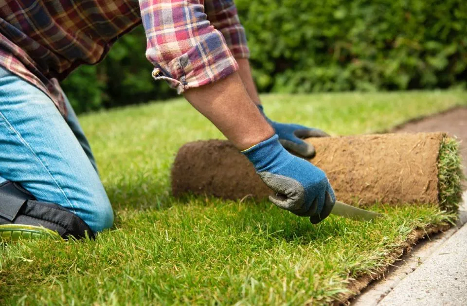 Top-rated yard cleanup service for year-round maintenance in El Paso, TX by Ramiro Landscaping Services