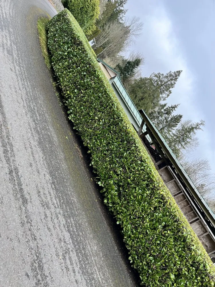 Trusted landscape installation in Bremerton, WA - Ramiro Matías Lorenzo Landscaping