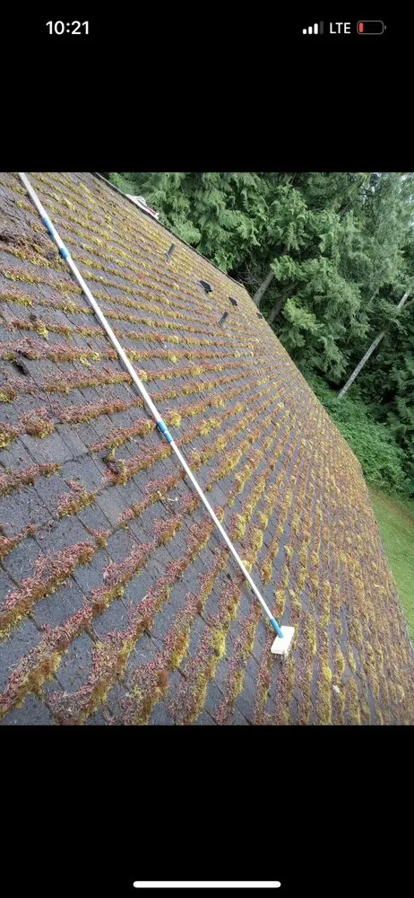 Professional outdoor landscaping in Bremerton, WA by Ramiro Matías Lorenzo Landscaping