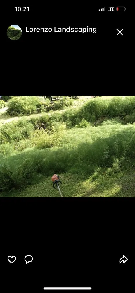 Top-rated residential landscaping in Bremerton, WA - Ramiro Matías Lorenzo Landscaping